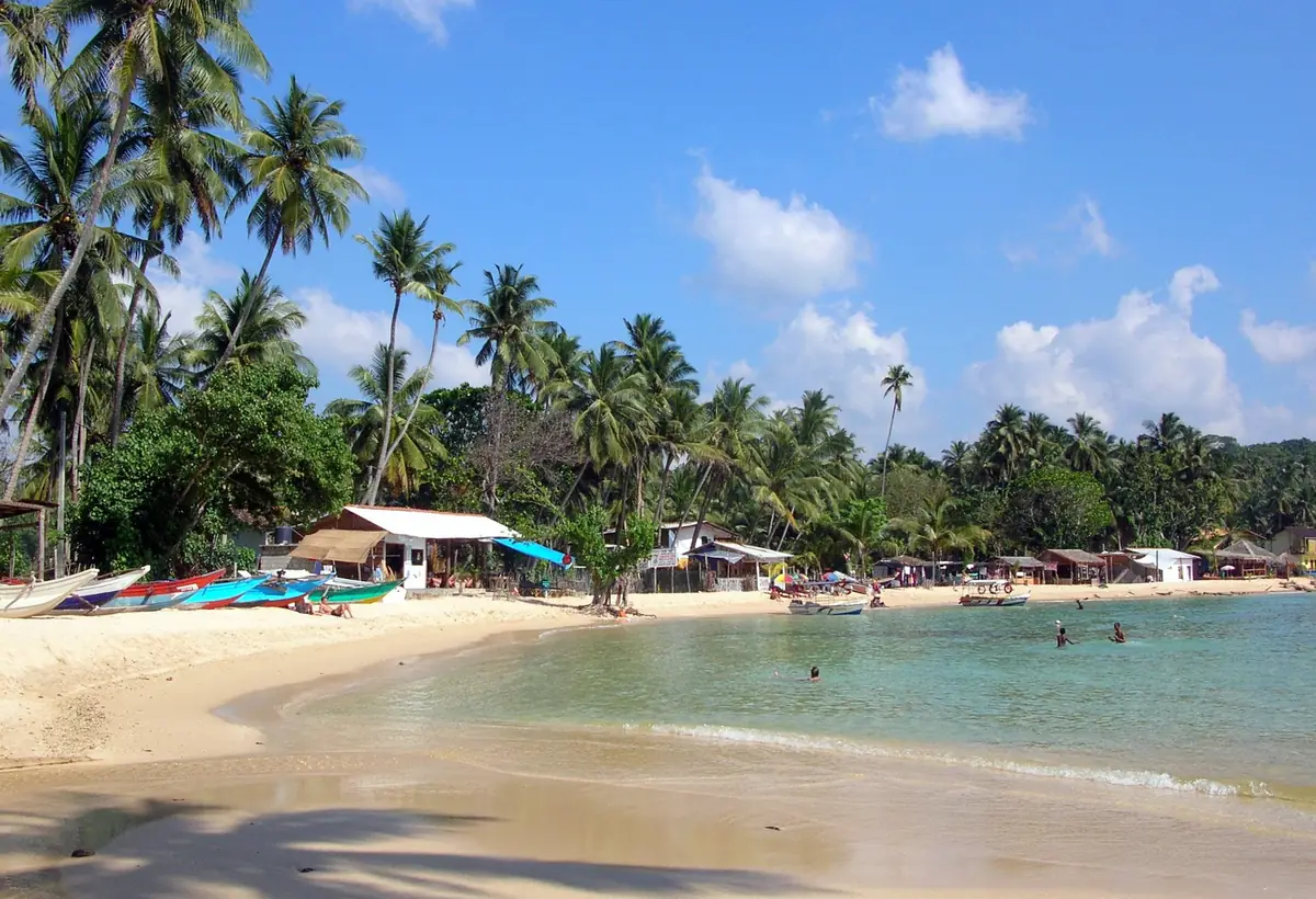 Unawatuna beach in Galle District, with fishing boats pulled onto the sand and palm trees behind them.