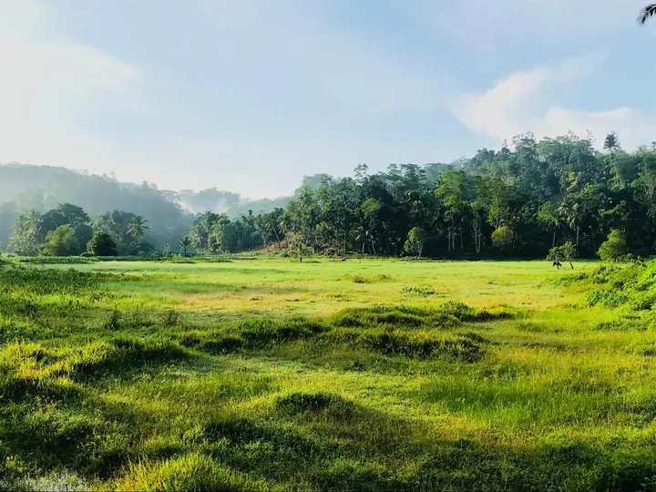නිදර්ශක ඡායාරූපය: මාතර දිස්ත්රික්කයේ අකුරැස්ස අසල විවෘත බිම්