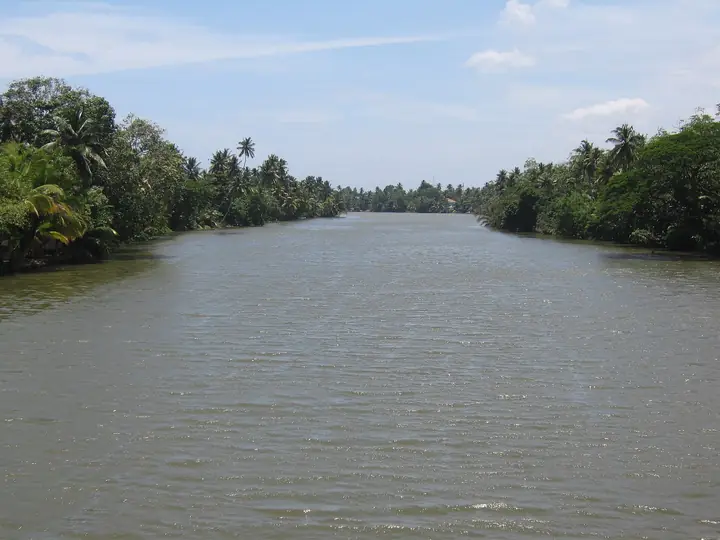 ප්රදේශයේ ඡායාරූපය: මාතර නිල්වලා ගඟ