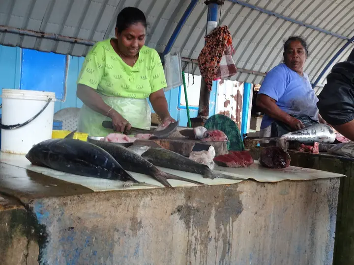 Fish market in Negombo