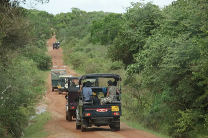 Safari jeeps in Yala National Park